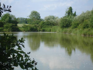 Abbey Waters, Part of the Barford Lakes Complex