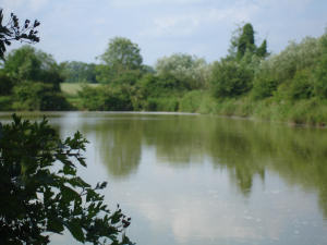 Abbey Waters, Part of the Barford Lakes Complex Abbey Waters, Part of the Barford Lakes Complex