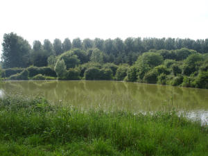 Views of Abbey Waters Views of Abbey Waters