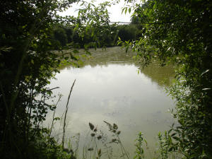 Views of Abbey Waters