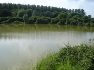 Views of Abbey Waters Views of Abbey Waters