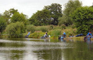 the anglers in action on the causeway