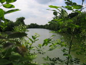 Wide Angle view of Colton Lake