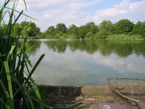 View of the Pleasure Lake View of the Pleasure Lake