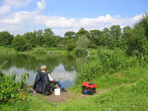 View of the Pleasure Lake