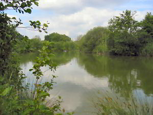 Views of Railway Lake Views of Railway Lake