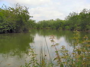 Railway Lake, Part of the Barford Lakes Complex Railway Lake, Part of the Barford Lakes Complex