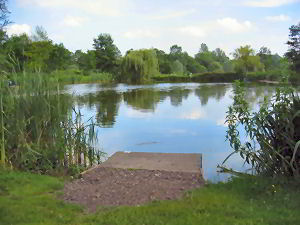 Views of the Top Lake