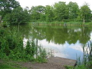 Top Lake at Barford Lakes