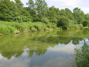 Training Lake at Barford Lakes Training Lake at Barford Lakes