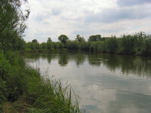 Views of Willow Lake Views of Willow Lake